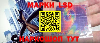 мдма Камышлов