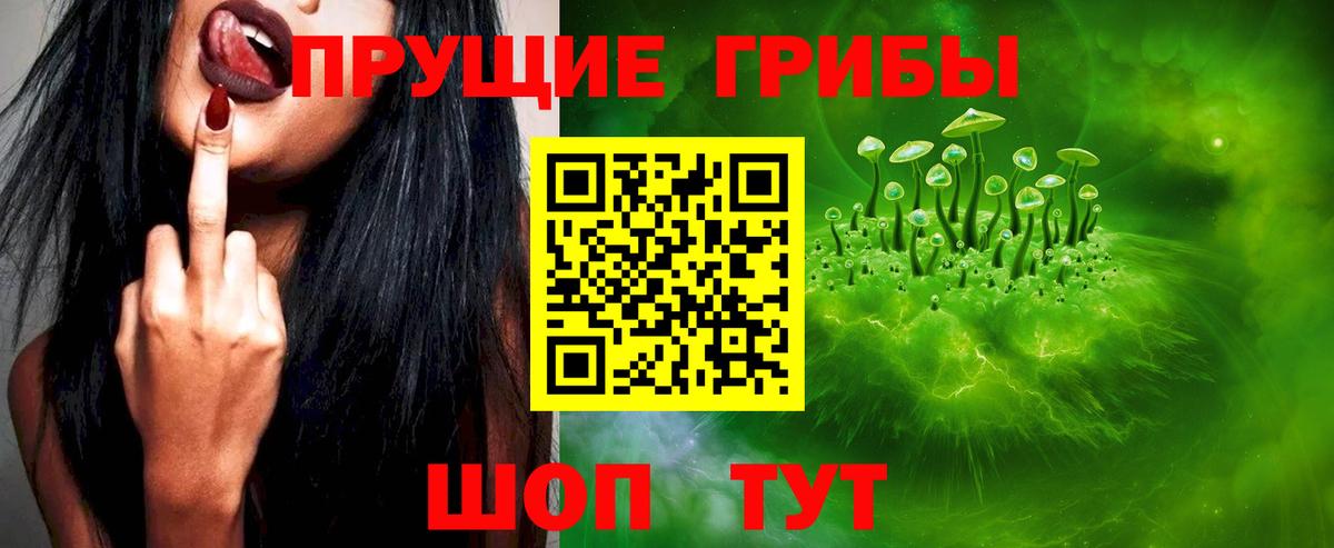 дарнет шоп  Вход с VPN  Дзержинский  Псилоцибиновые грибы Magic Shrooms 